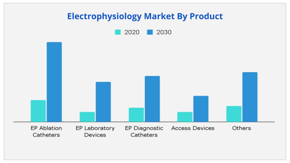 Electrophysiology Market by Product